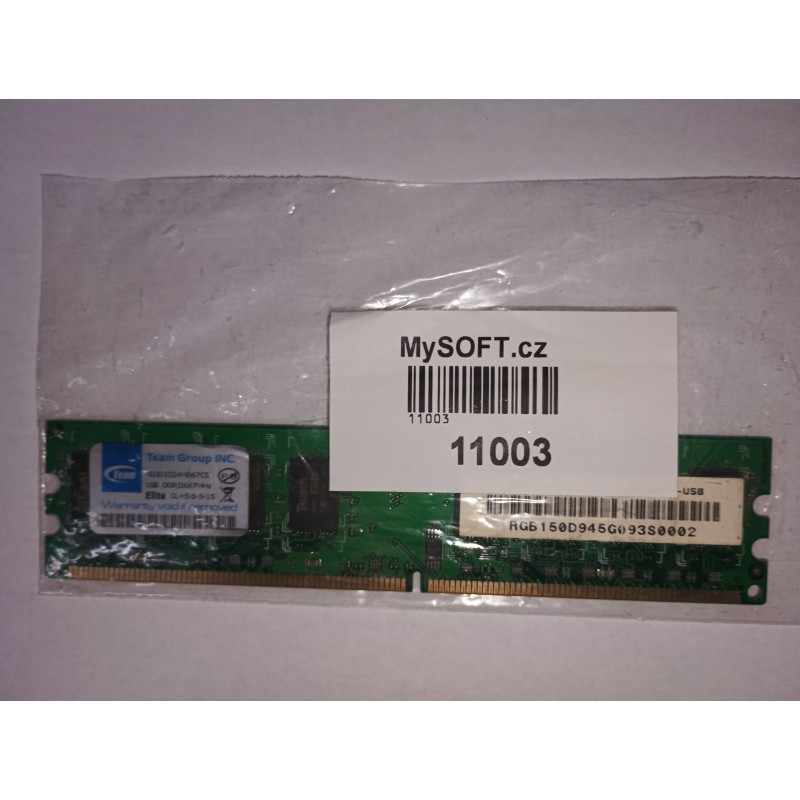 RAM (11003) 1GB DDR II 667MHz Team Group inc.