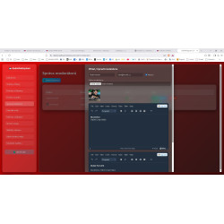 Radio Web System