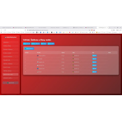 Radio Web System