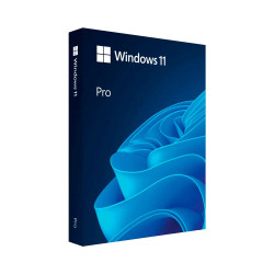 Microsoft Windows 11 Pro | Online